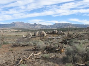 Just a few miles before Kennedy Meadows, the gate to the Southern Sierra