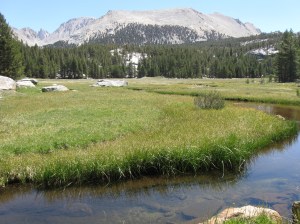 Crabtree Meadow, the launching ground for a Mt. Whitney summit