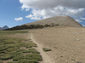 Bighorn Plateau - full of cute, grazing marmots
