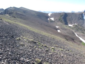 After battling the mosquitos for days and days, the Sierra crest brought us into Sonora Pass. At a moment of crazed spontaneity, we sped off to Reno for buffet and 1000 mile celebration. Amazing.....