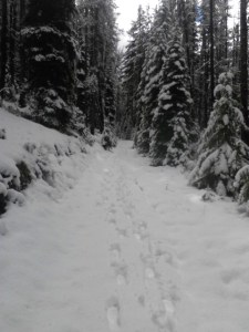 Trudging through the snow
