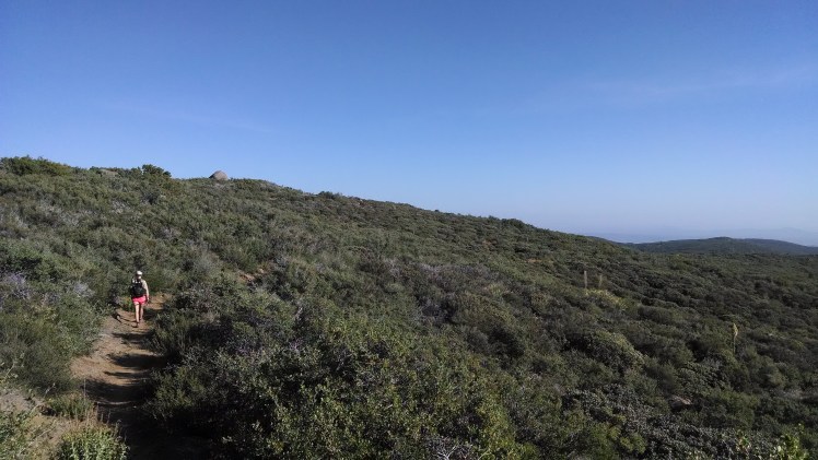 IMG_20140424_172052570