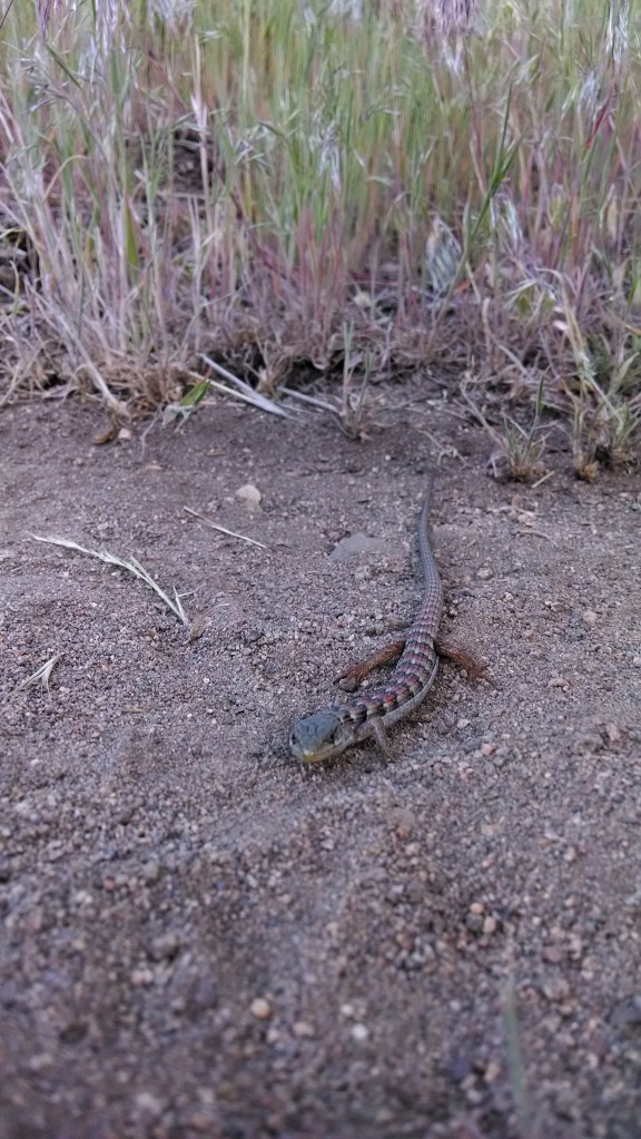 IMG_20140424_184328022