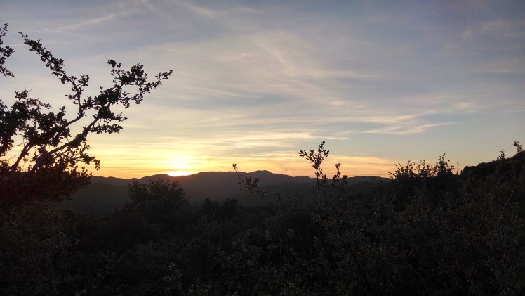 IMG_20140424_191933622_HDR