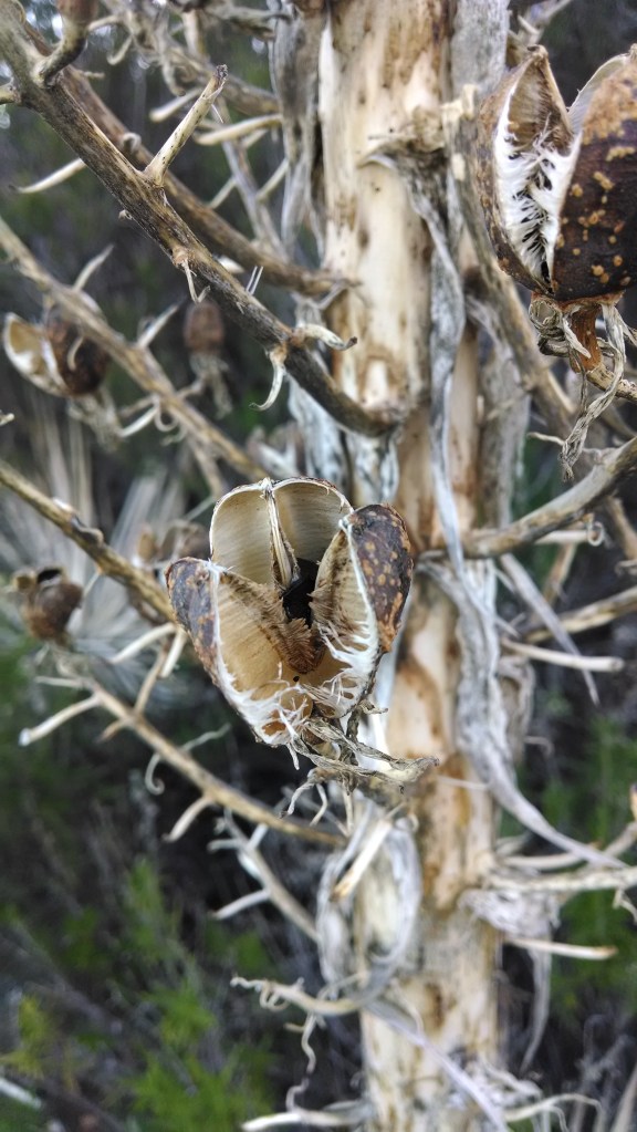 IMG_20140425_071447203