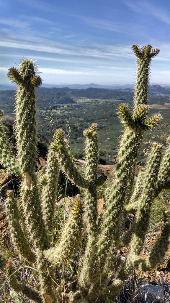 IMG_20140425_092911037_HDR