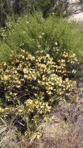 IMG_20140425_130202021