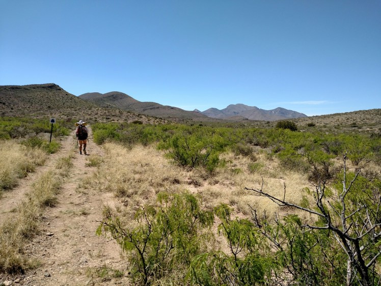 IMG_20150425_145150141.jpg image