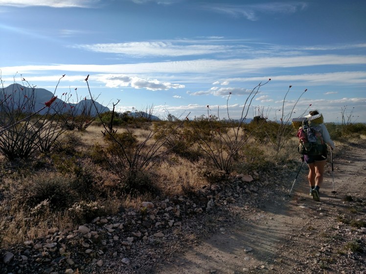 IMG_20150425_181713271.jpg image