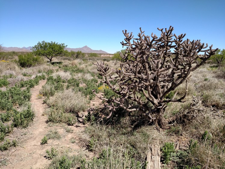 near the southern terminus