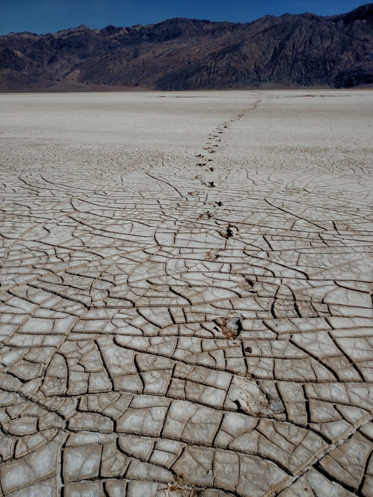 img_20161006_120157715