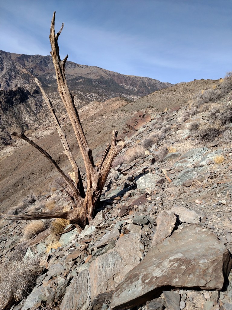 img_20161007_093423026