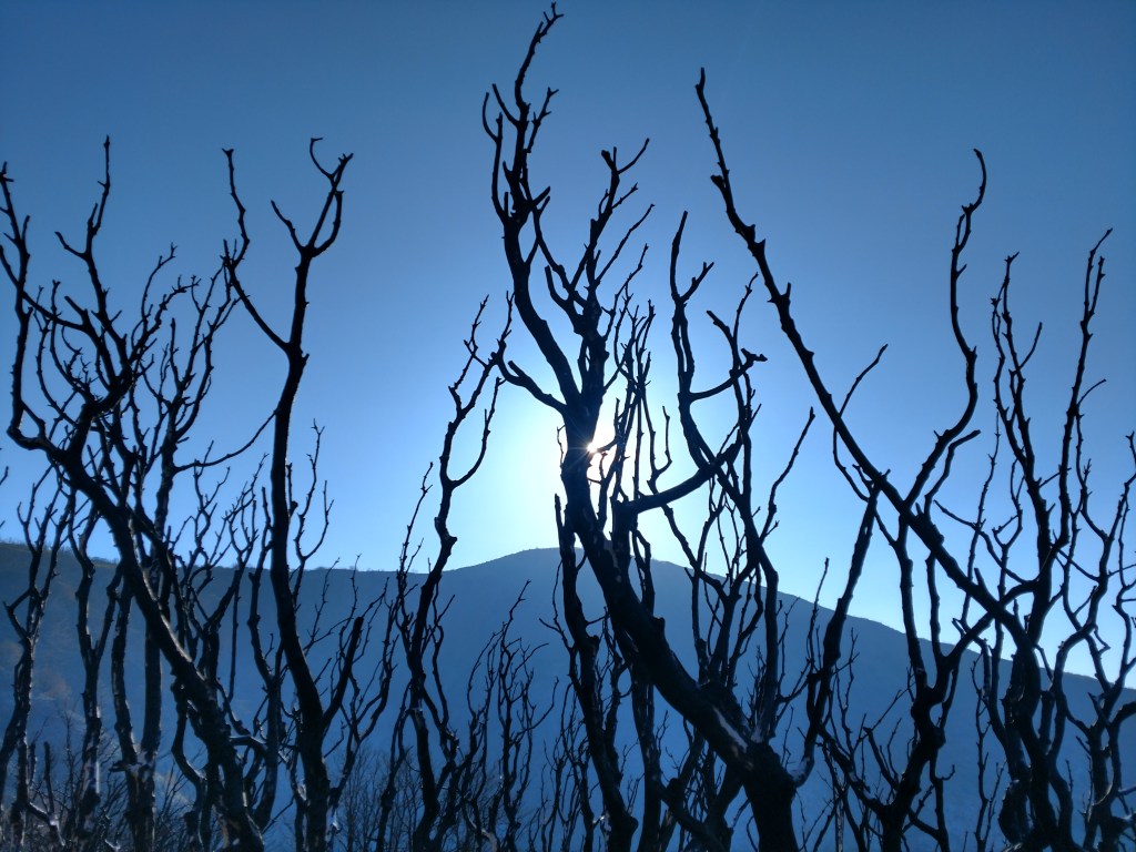 IMG_20170526_181217057_HDR